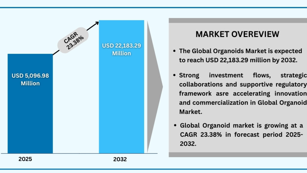 Global Organoid Market