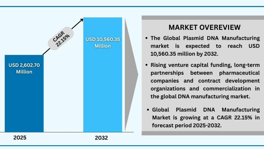 Global Plasmid DNA Manufacturing Market