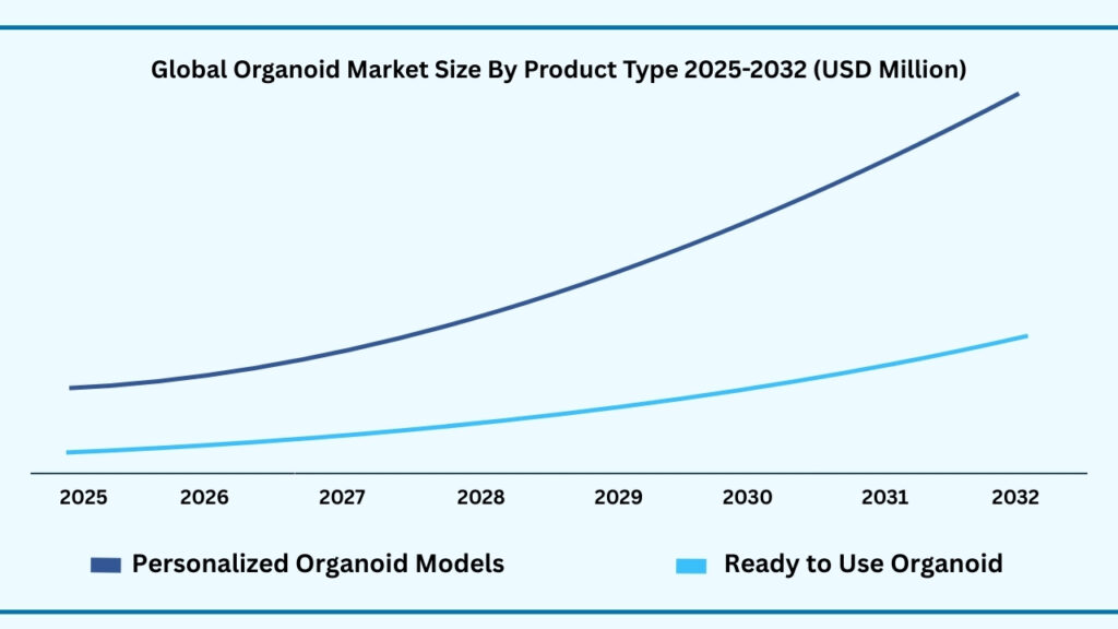 Global Organoid Market, By Product Type