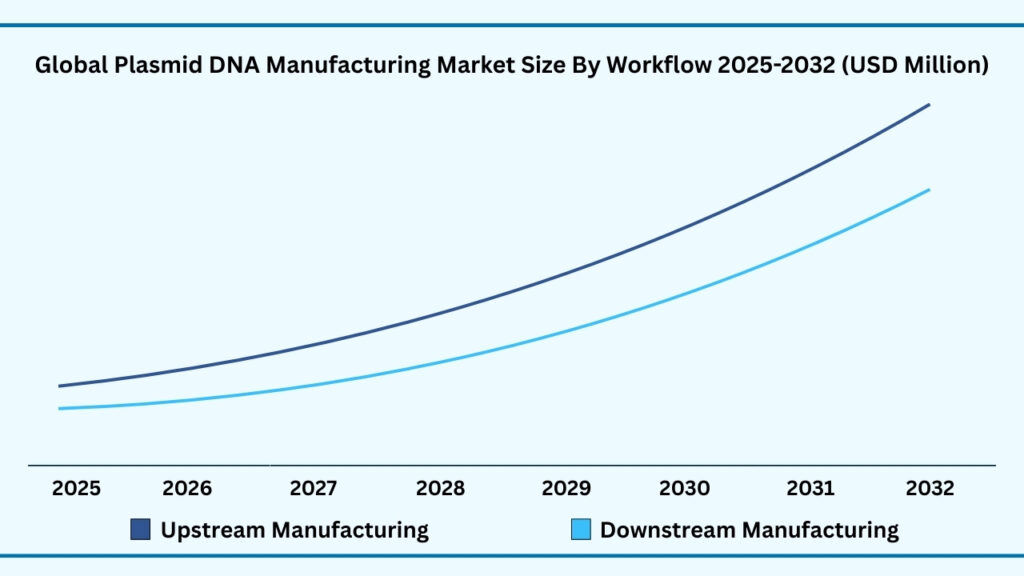Global Plasmid DNA Manufacturing Market, By workflow
