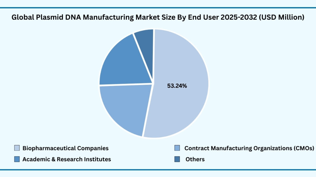 Global Plasmid DNA Manufacturing Market, By End User